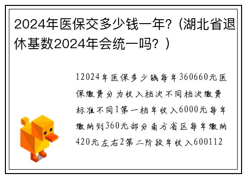 2024年医保交多少钱一年？(湖北省退休基数2024年会统一吗？)